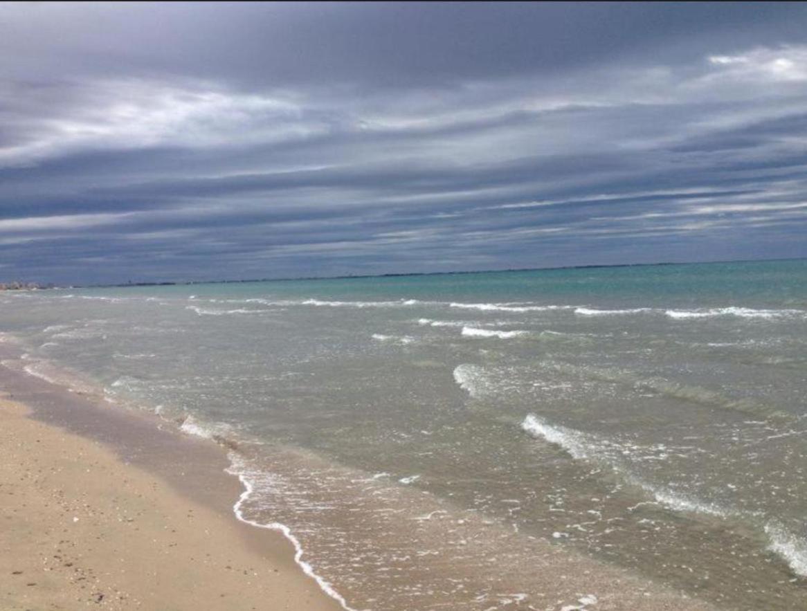 Port * Carnon-Plage
